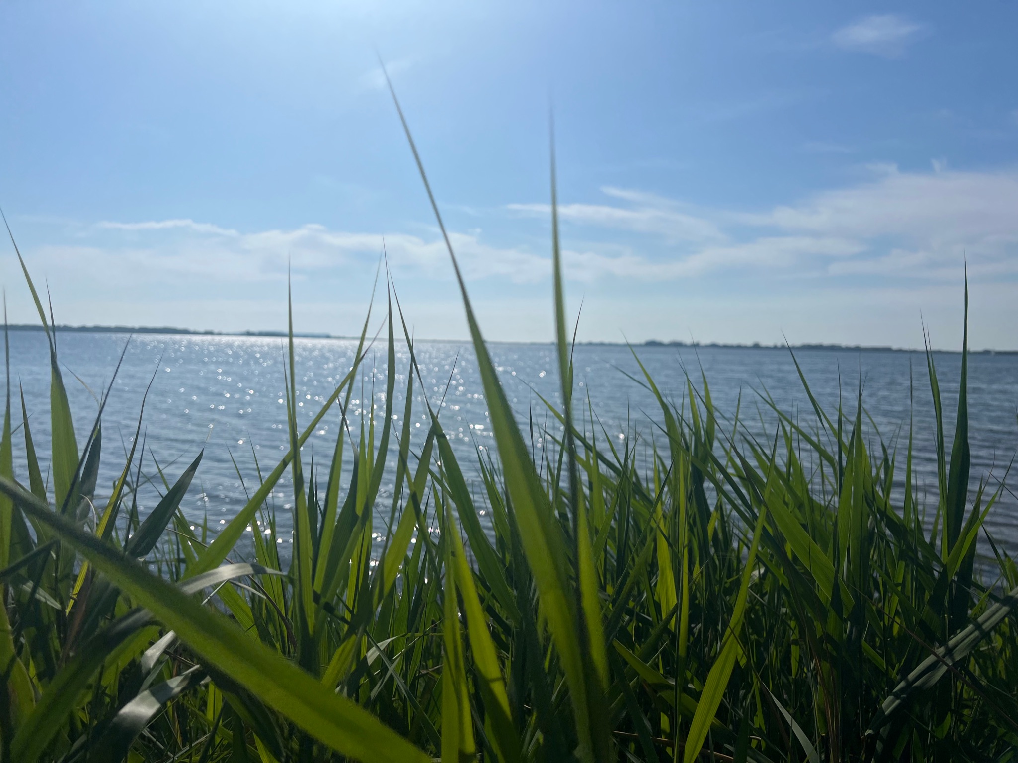 Gute Luft, besseres Leben