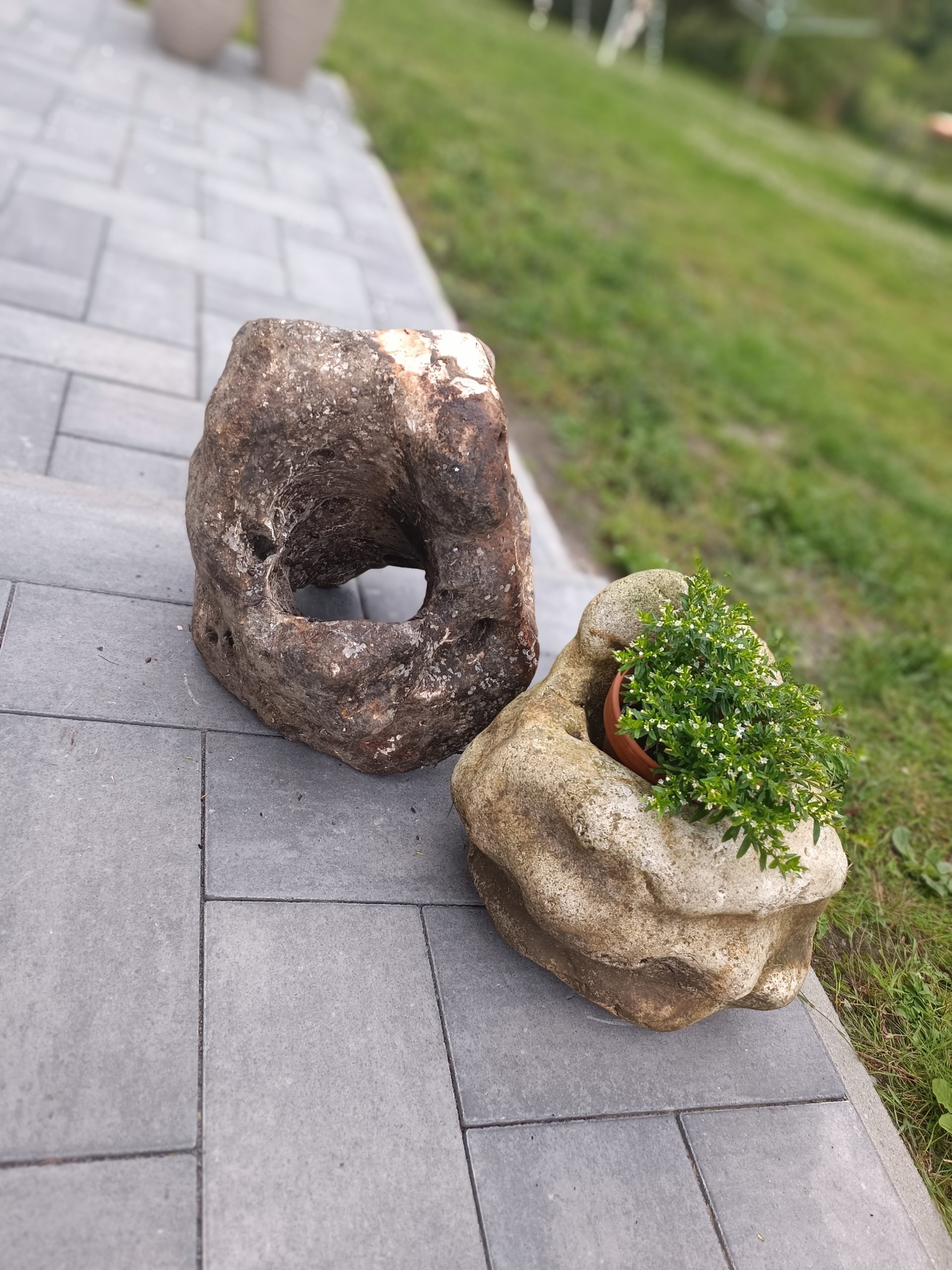 Naturkunst